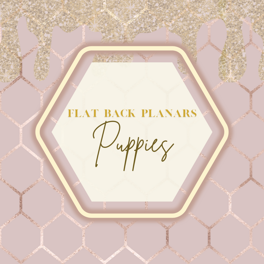 Flat Back Planar Resin Pieces, Puppies