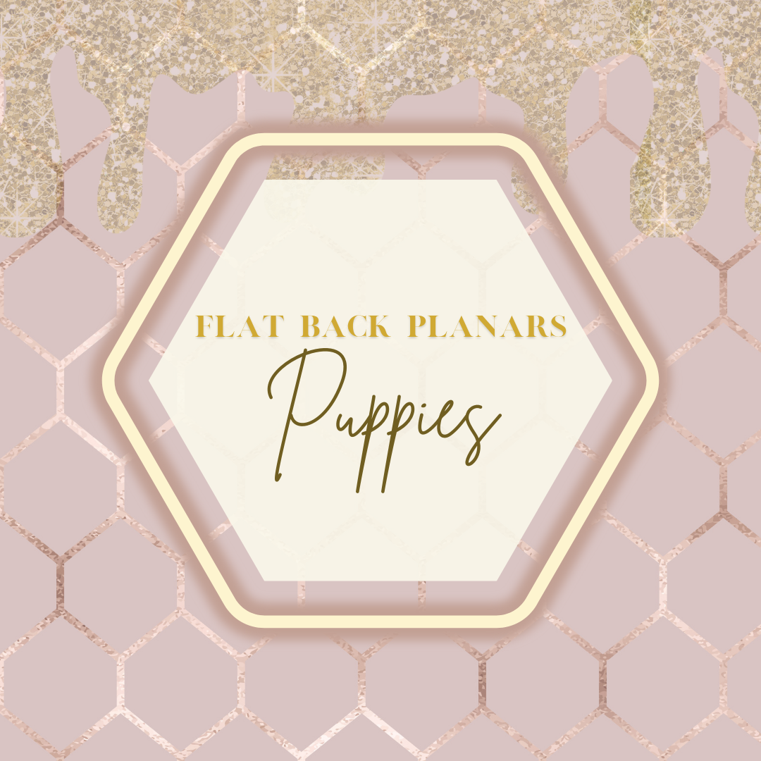 Flat Back Planar Resin Pieces, Puppies