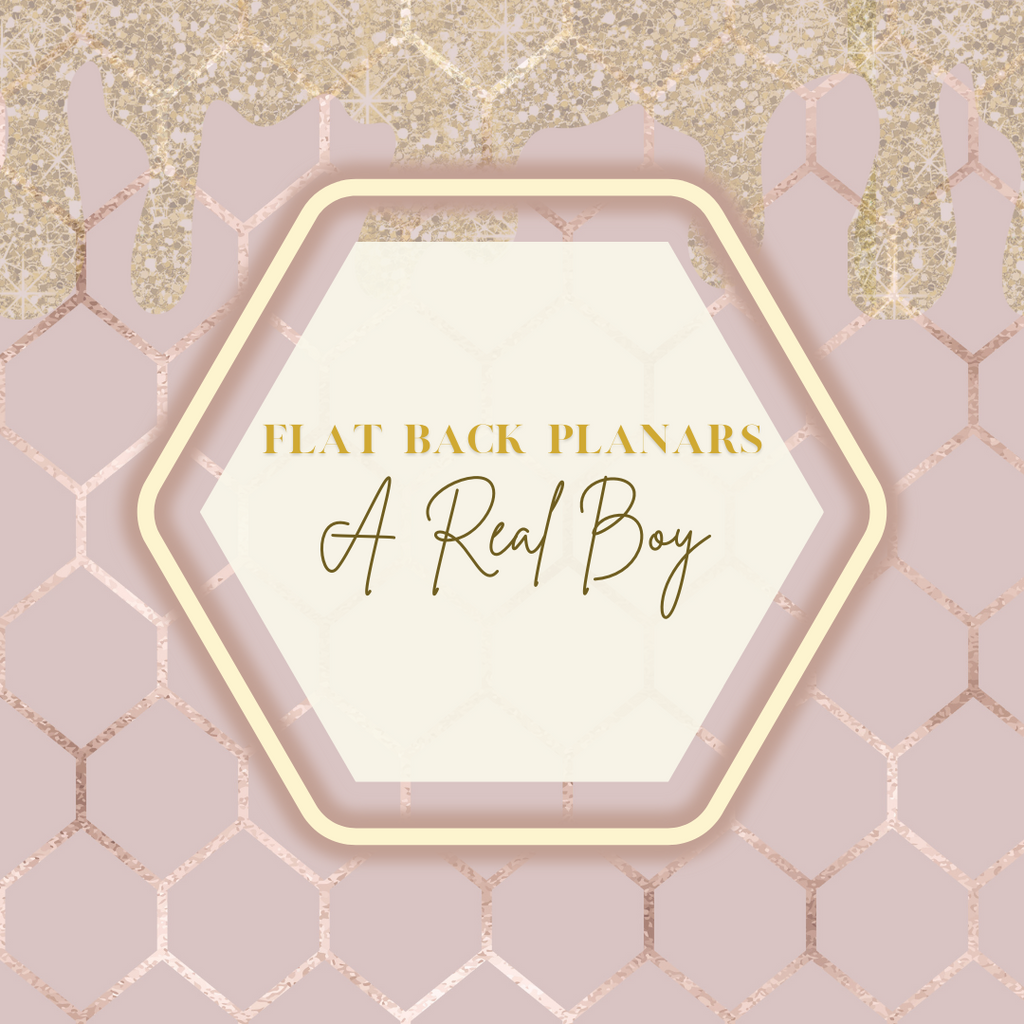 Flat Back Planar Resin Pieces, A Real Boy