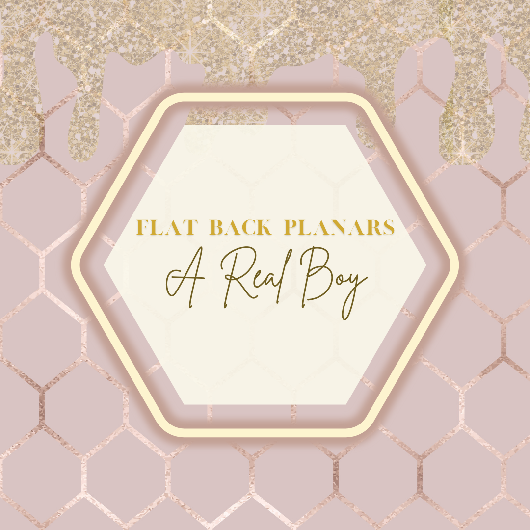 Flat Back Planar Resin Pieces, A Real Boy