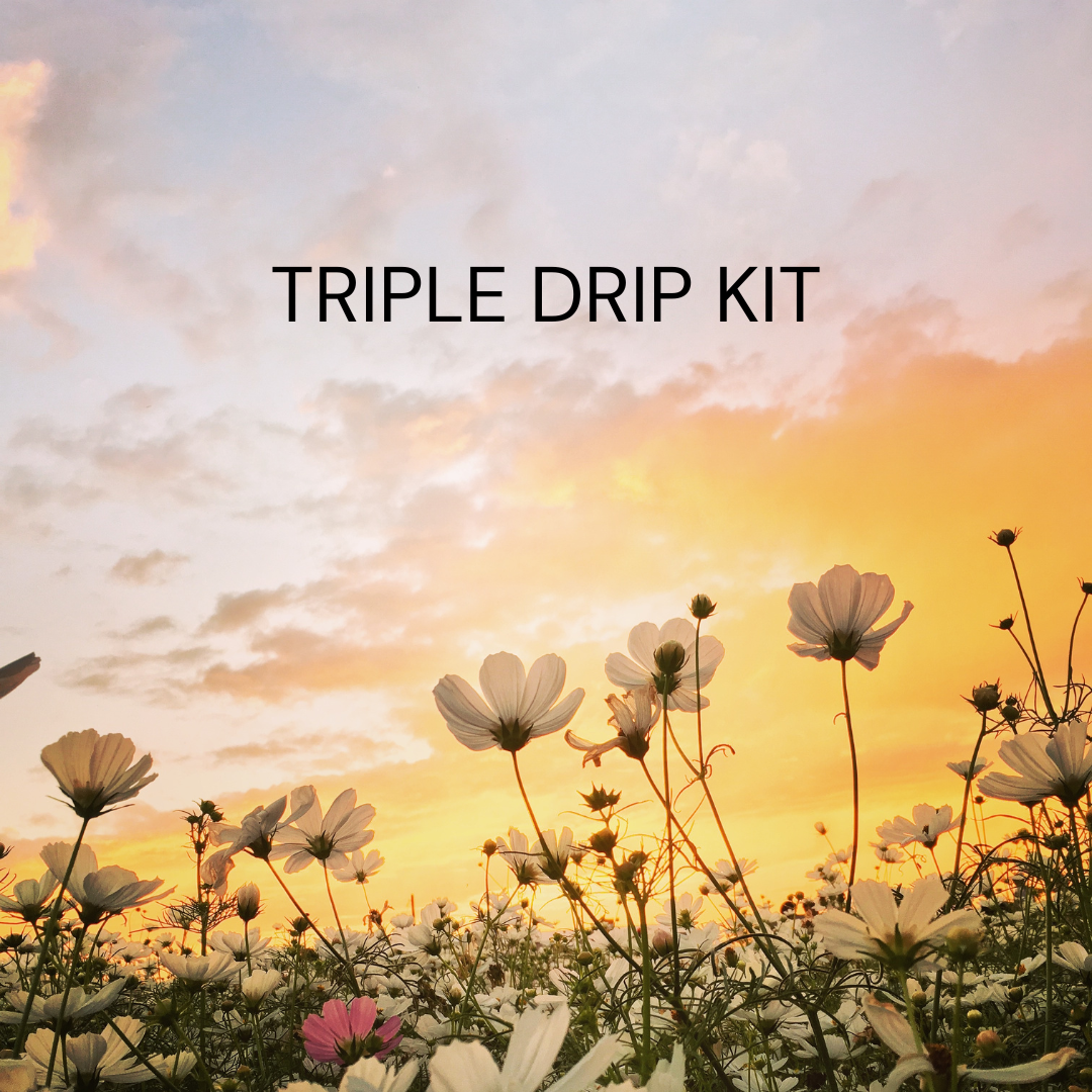 Triple Drip Lava Kit, Delulu Lemonade