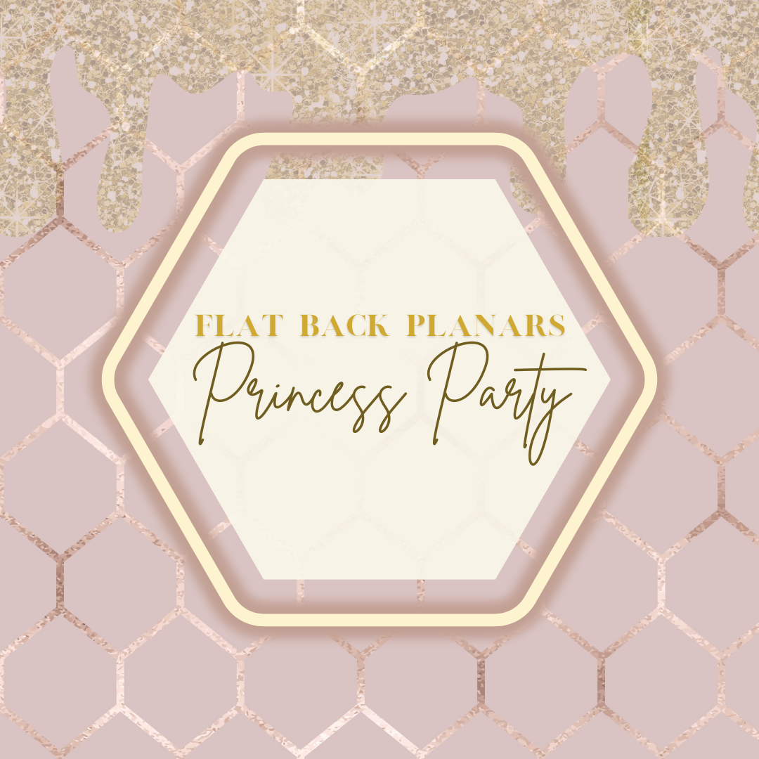 Flat Back Planar Resin Pieces, Princess Party