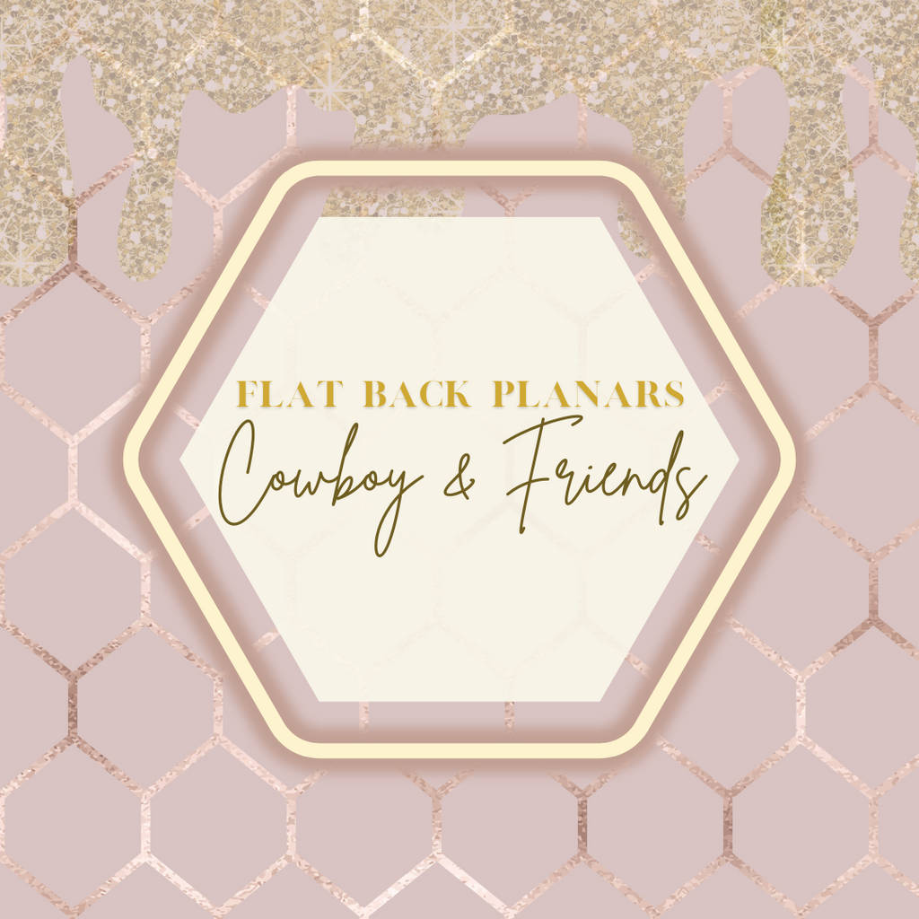 Flat Back Planar Resin Pieces, Cowboy & Friends