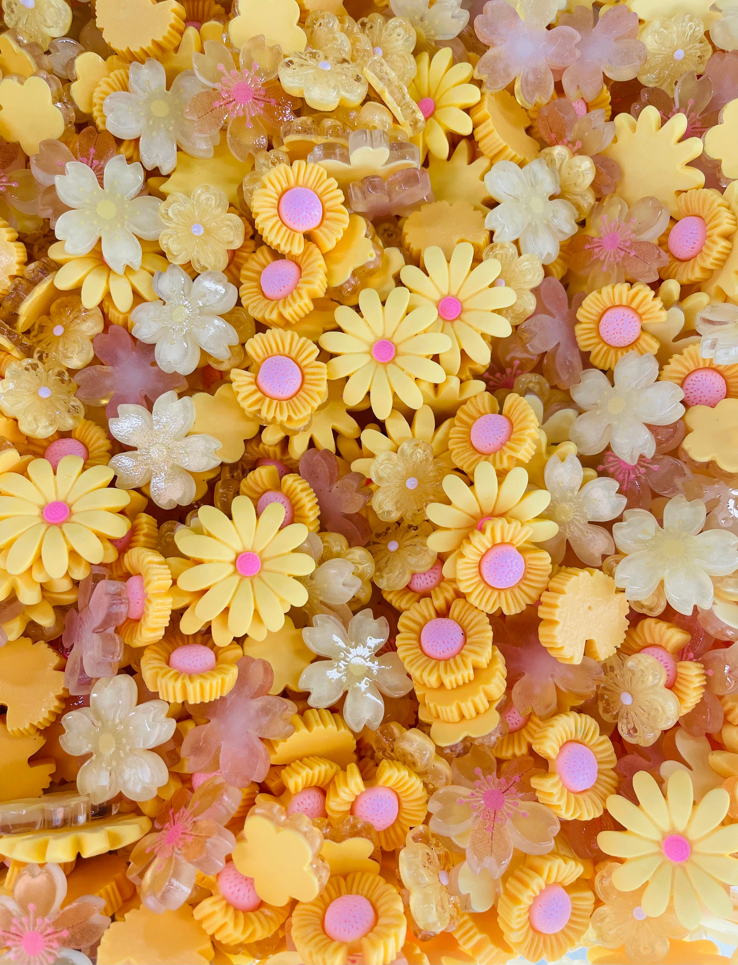10/15/25 4:30 PM PST Flat Back Resin/Acrylic Flower And Charm Mixes, Assorted Colors