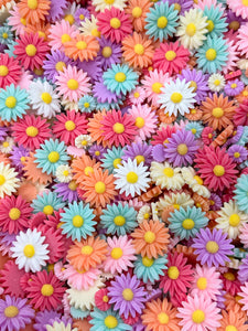 Resin Flat Back Flowers, New Mix #3, Assorted Colors