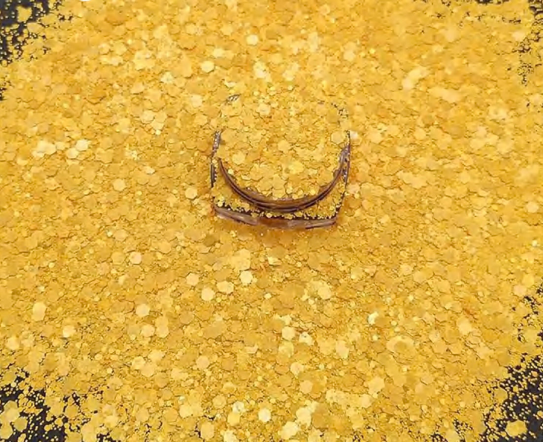 Chunky Mix Glitter, Mac & Cheese